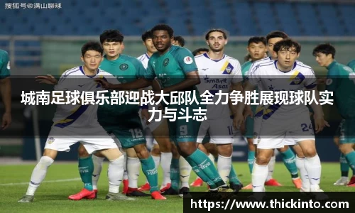 城南足球俱乐部迎战大邱队全力争胜展现球队实力与斗志